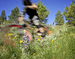 South Hills recreator helena parks and trails prickly pear land trust