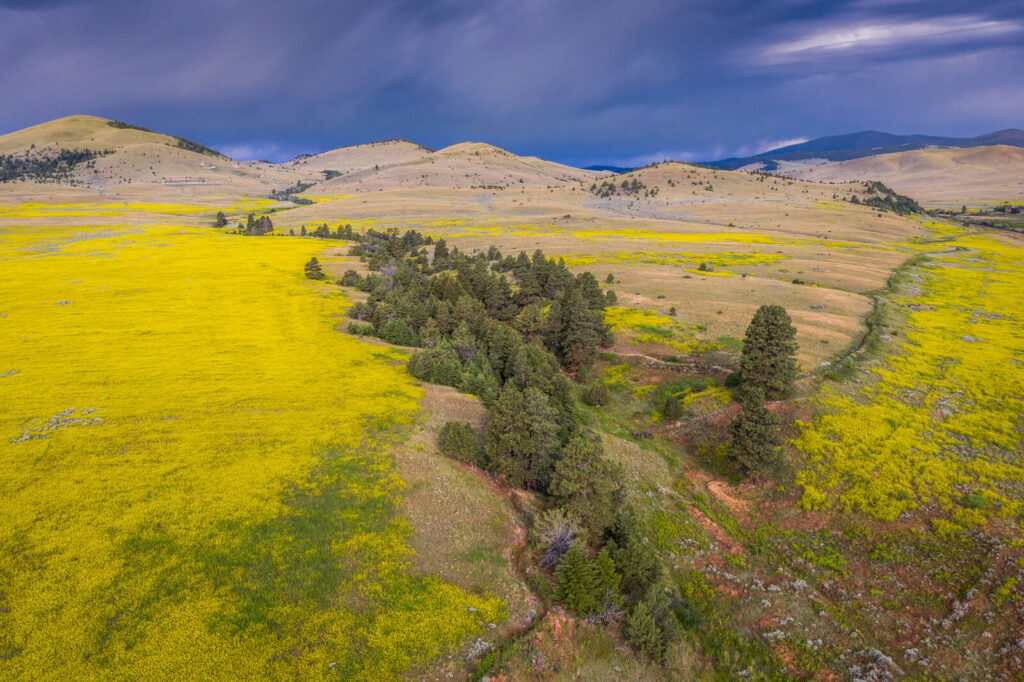 Birdseye Ranch