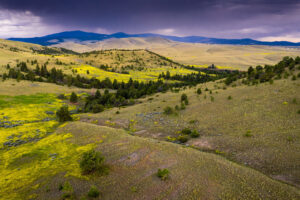 Birdseye Ranch