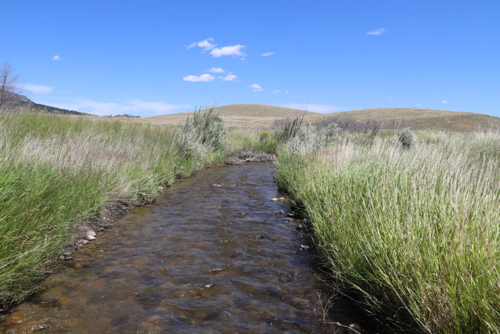 Sevenmile Creek