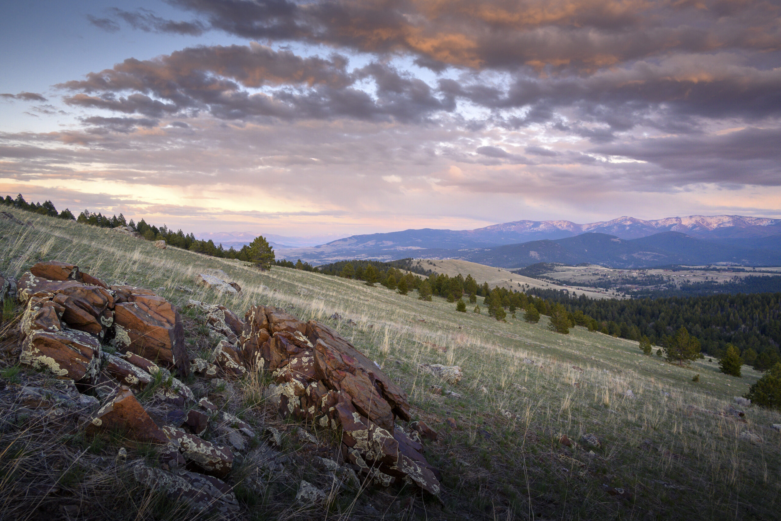 Elk Ridge - Prickly Pear Land Trust
